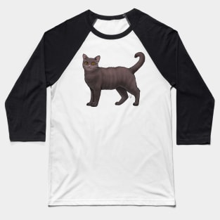 Cat - American Wirehair - Dark Brown Baseball T-Shirt